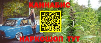 соль ск Гатчина