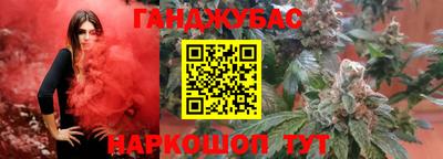 ешки Гай
