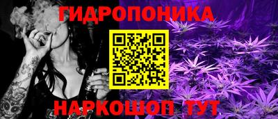 крисы Гагарин