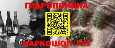 крисы Гагарин