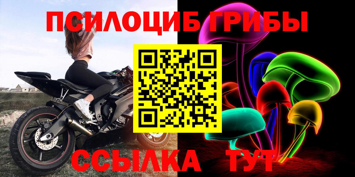 Галлюциногенные грибы Cubensis Озёры