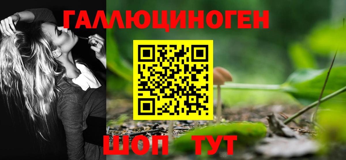 купить   Вход с VPN  Озёры  Псилоцибиновые грибы прущие грибы 